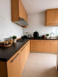 Mountbatten Suites (D15), Apartment #585008221